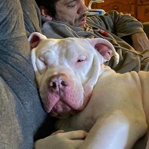 Meet your Posher, Derek